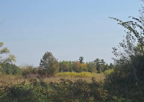 Tbd Hummingbird Road Braham MN 55006