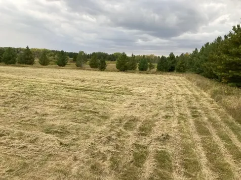 Tbd Hummingbird Road Braham MN 55006