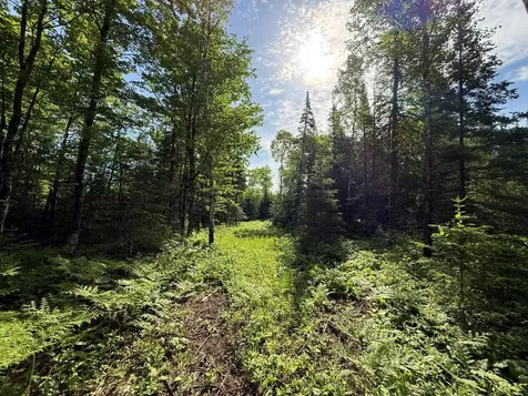 Tbd Arnold Road Duluth MN 55803