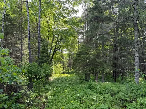 Tbd Arnold Road Duluth MN 55803