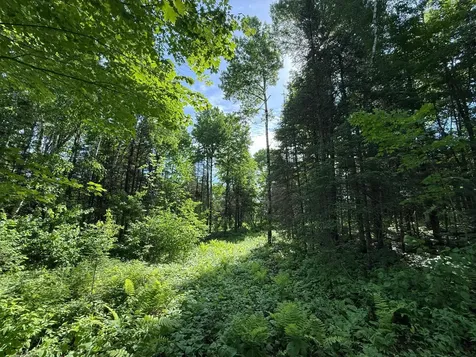 Tbd Arnold Road Duluth MN 55803