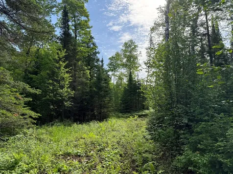 Tbd Arnold Road Duluth MN 55803