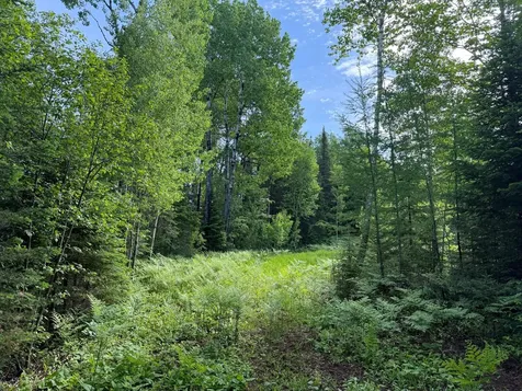 Tbd Arnold Road Duluth MN 55803
