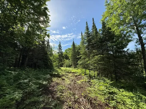 Tbd Arnold Road Duluth MN 55803