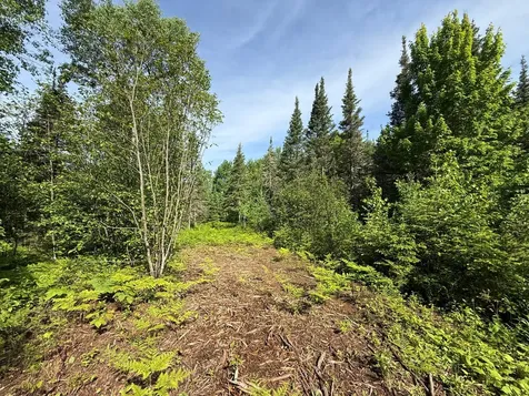 Tbd Arnold Road Duluth MN 55803