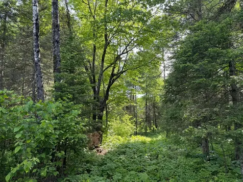 Tbd Arnold Road Duluth MN 55803