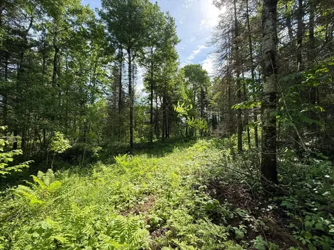 Tbd Arnold Road Duluth MN 55803