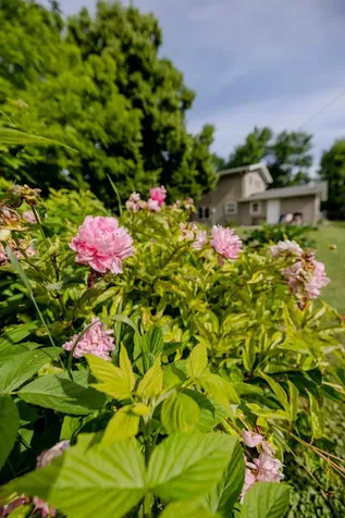 3 Sunnyslope Road Morris MN 56267