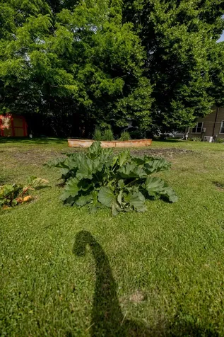3 Sunnyslope Road Morris MN 56267
