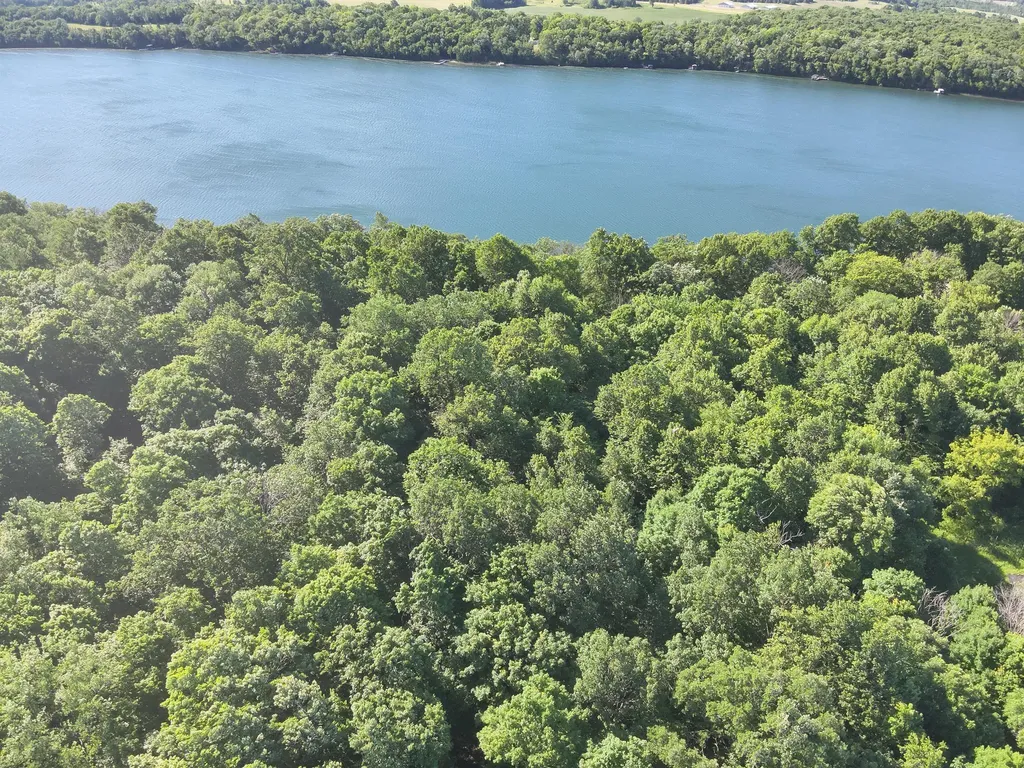 3XXXX 407th Street Dent MN 56528