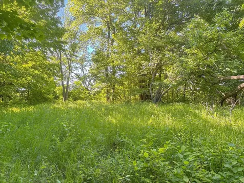 3XXXX 407th Street Dent MN 56528