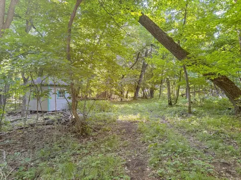 Xxxxx 407th Street Dent MN 56528