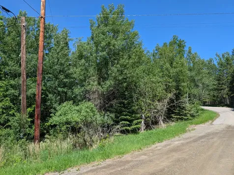 Tbd Town Road 492 International Falls MN 56649