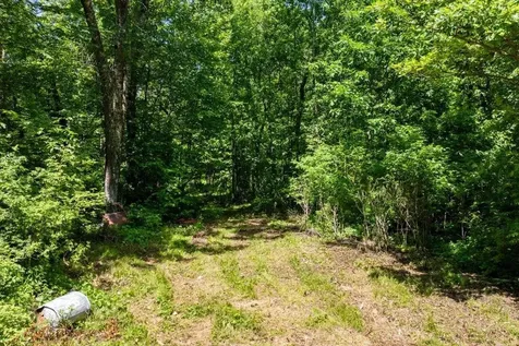 24490 County Road 19 Merrifield MN 56465