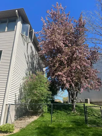 3588 Commonwealth Bay Woodbury MN 55125