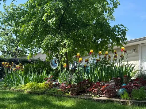 6715 Ashton Avenue NE Fridley MN 55432