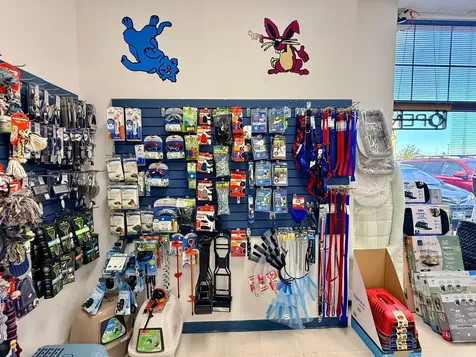 2516 Hannah Avenue Bemidji MN 56601
