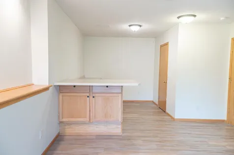 343 Pendryn Hill Curve Woodbury MN 55125