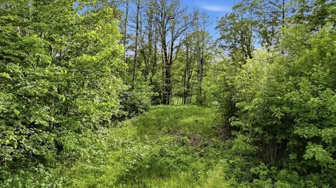 23506 Bezanis Road Cohasset MN 55721