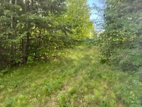 23506 Bazanis Road Cohasset MN 55721