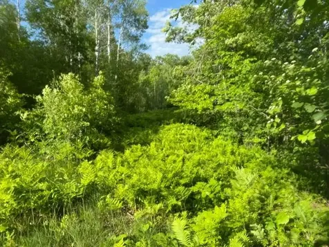 23506 Bazanis Road Cohasset MN 55721