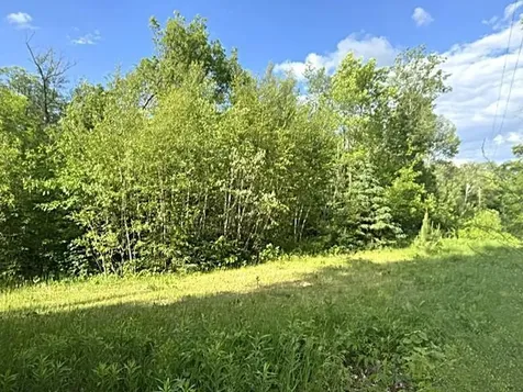23506 Bazanis Road Cohasset MN 55721