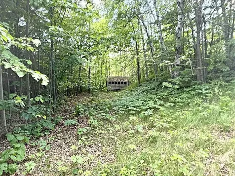 23506 Bazanis Road Cohasset MN 55721