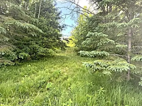 23506 Bezanis Road Cohasset MN 55721