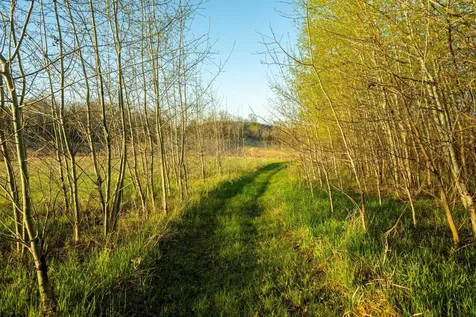 Tract 5 - Tbd Lida Drive Pelican Rapids MN 56572