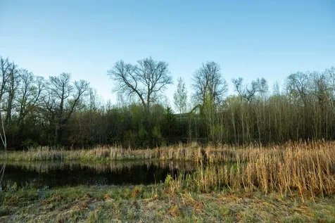 Tract 5 - Tbd Lida Drive Pelican Rapids MN 56572