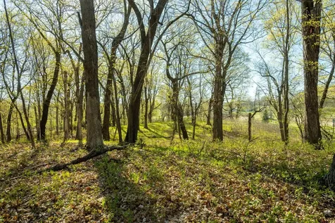 Tract 3 - Tbd State Highway 108 Pelican Rapids MN 56572