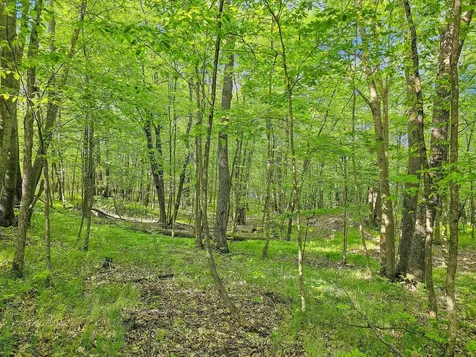 27764 Elm Lane Detroit Lakes MN 56501