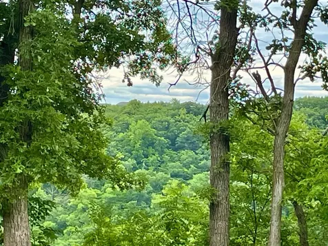 208 Skyline Drive Wabasha MN 55981