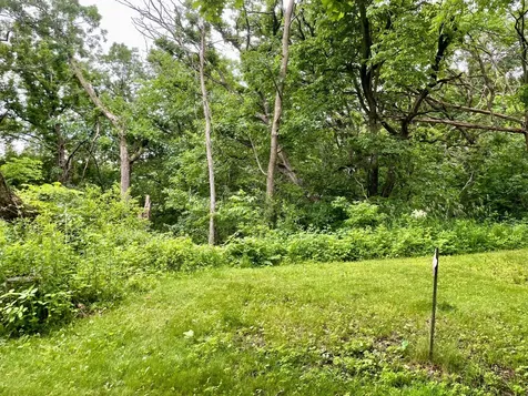208 Skyline Drive Wabasha MN 55981