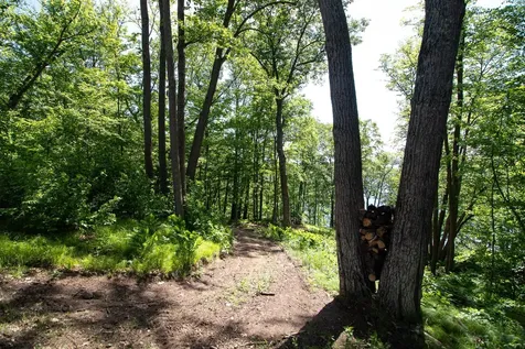 22281 Shadow Point Road Emily MN 56447