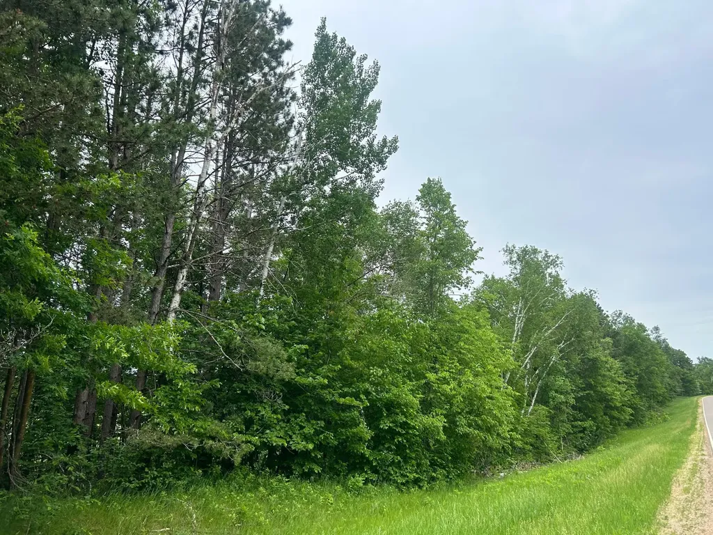 Tbd County Road 16 Cushing MN 56443