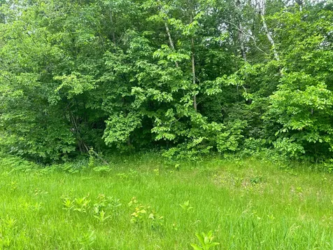 Tbd County Road 16 Cushing MN 56443