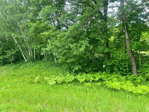 Tbd County Road 16 Cushing MN 56443