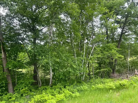 Tbd County Road 16 Cushing MN 56443