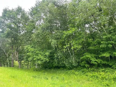 Tbd County Road 16 Cushing MN 56443