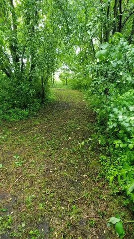 321 3rd Avenue NE Eagle Bend MN 56446