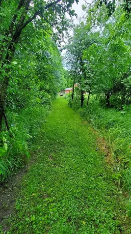 321 3rd Avenue NE Eagle Bend MN 56446