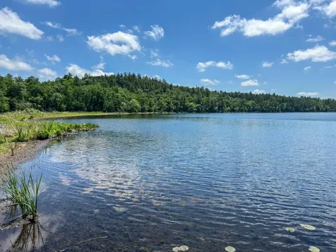 10556 Gilbert Shores Drive Brainerd MN 56401