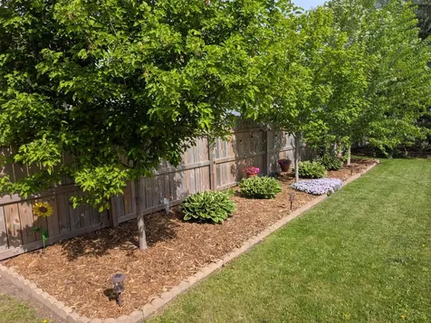 1124 8th Street International Falls MN 56649