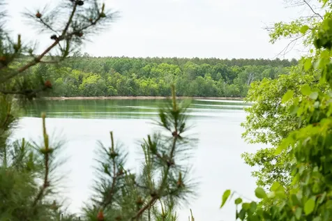 15169 Cranberry Drive Park Rapids MN 56470