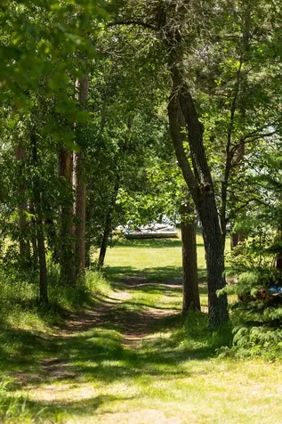 15169 Cranberry Drive Park Rapids MN 56470