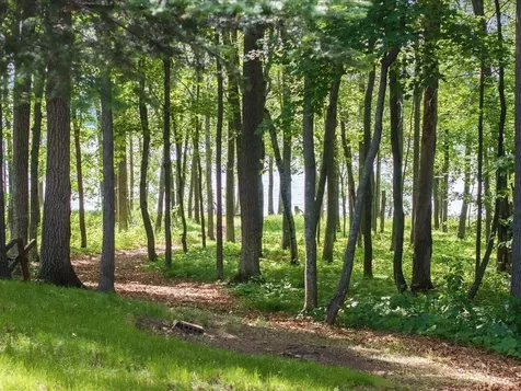 11815 Maplewood Drive East Gull Lake MN 56401