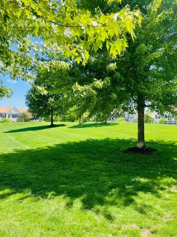17377 72nd Place N Maple Grove MN 55311