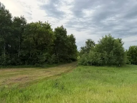 Tract B 113 Street Ashby MN 56309