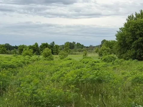 Tract B 113 Street Ashby MN 56309